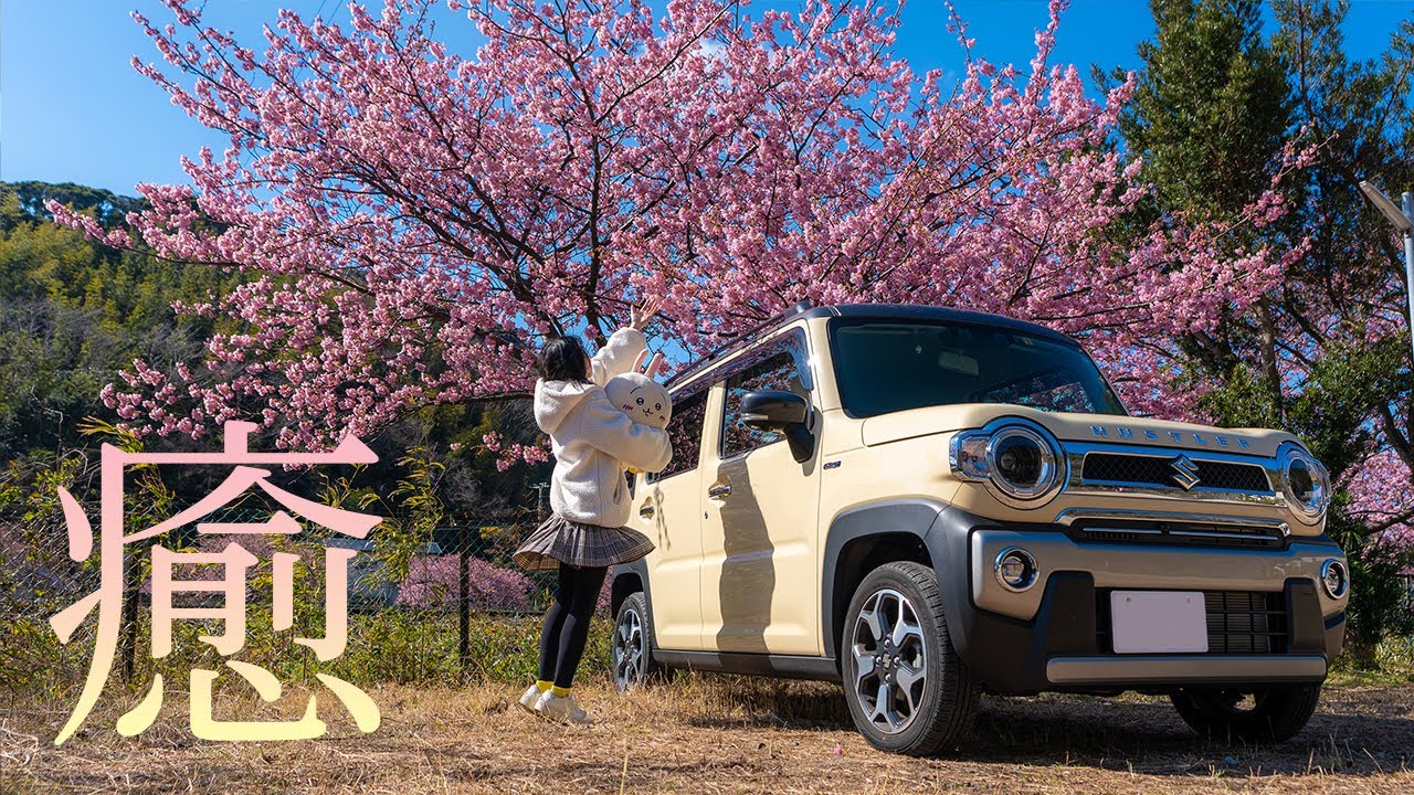 【車中泊女子】軽自動車で一人車中泊│河津桜と夜の静かな白浜と【新型ハスラー】