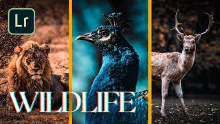 How to edit WILDLIFE PRESET | Lightroom Mobile screenshot 2