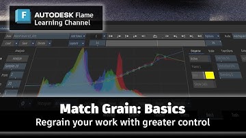Match Grain: Basisprincipes - Flame 2025