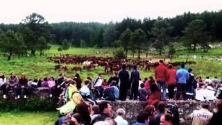 BAIONATV - Clips TRB: Curro da Valga