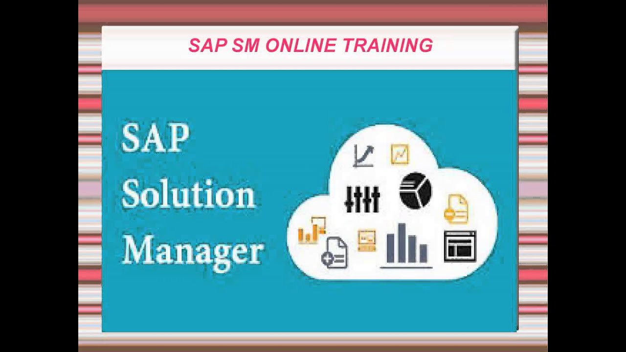 sap sm online training in INDIA - YouTube