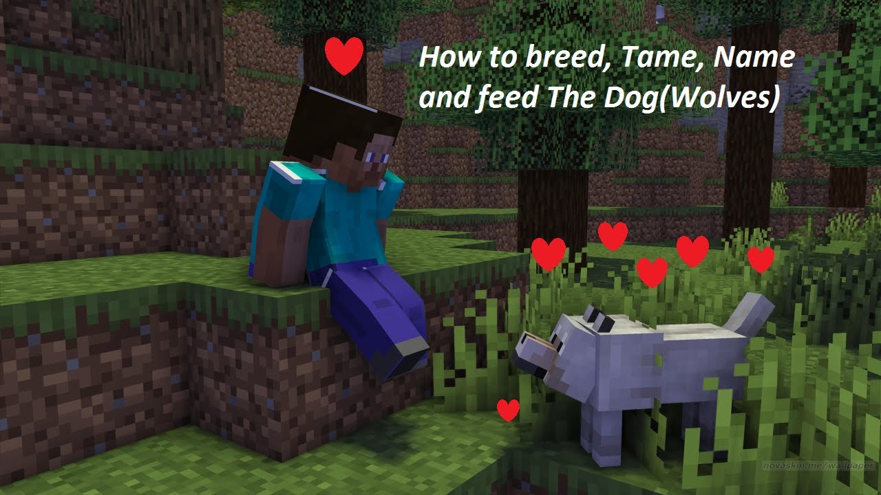 How to get a dog 🐕 in Minecraft and also name it | - YouTube