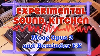 ESK - Moog Opus 3 and Reminder FX