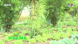 DIRECT 🔴NDEMA A BANADJI ET GANGUEL DU 14 FEVRIER 2026