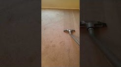 Carpet cleaning Las Vegas pet stain removal experts at work 