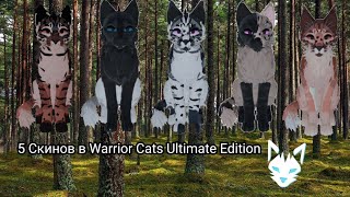5 Скинов в Warrior Cats Ultimate Edition //1 Часть\\\\