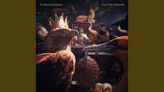 Birds I Couldn't Identify - Trashcan Sinatras