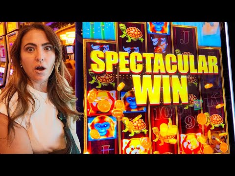 Jackpot Alert! 🚨 Winning Big in Morongo's High Limit Room!