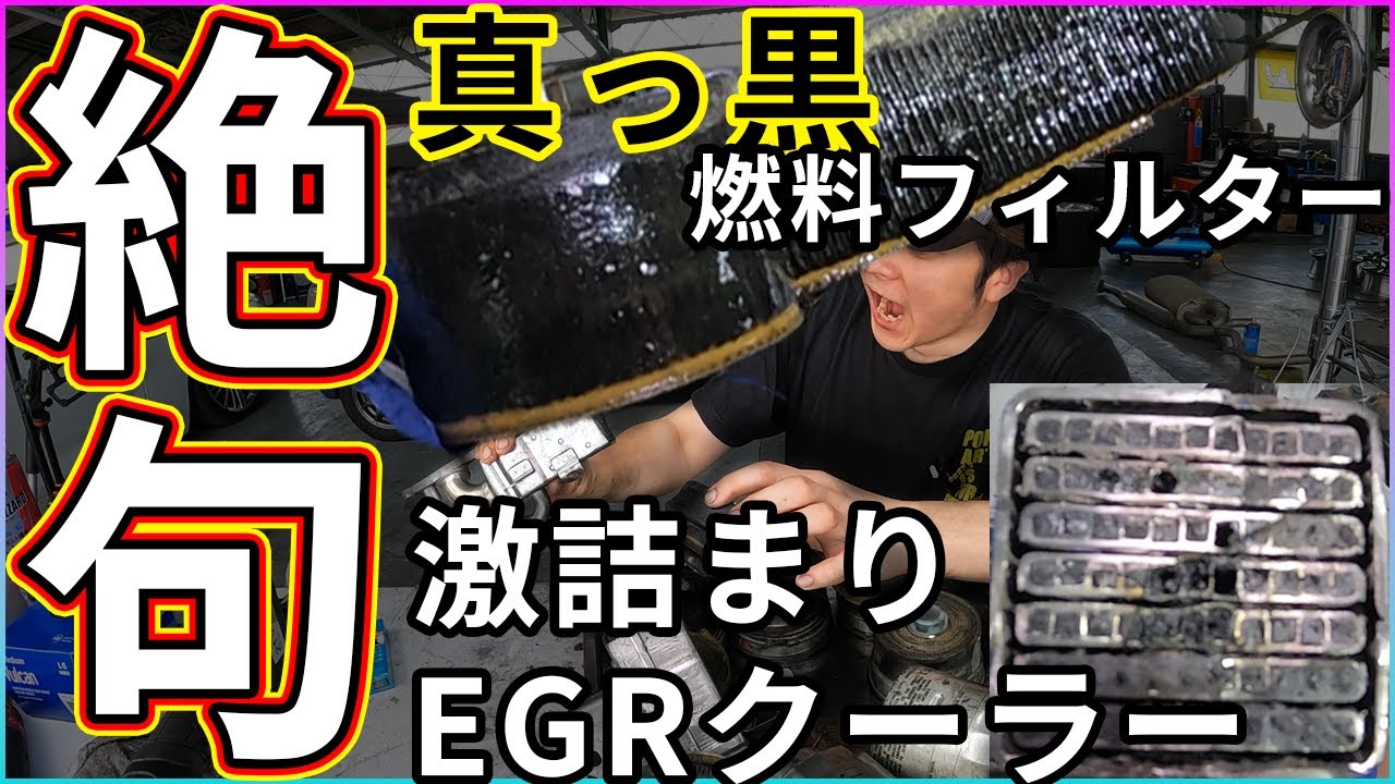 【絶句】ドス黒い燃料フィルター、激詰EGRクーラー、吸気圧センサーをぶった切る！【交換してる？？】