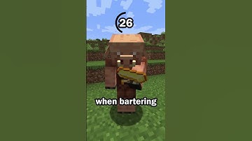 Guess the Minecraft item in 60 seconds 4