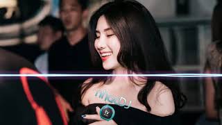 Nonstop DJ 2019 - Gặp Em Đúng Lúc Remix 剛好遇現你 Remix - Nam Phiêu Mix - Nhạc DJ Tv