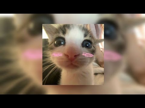 From The Start Laufey Sped Up Tiktok Version