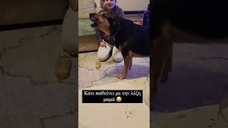 Κάτι παθαίνει με την λέξη μαμά 😂 #κατοικιδια