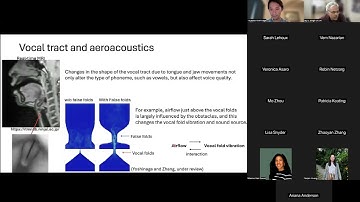 A computational framework of human voice production: Muscle activation simulation