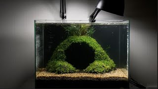 3d pen fishtank set up by 회색벌레 GreyWorm 93,844 views 3 years ago 6 minutes, 25 seconds