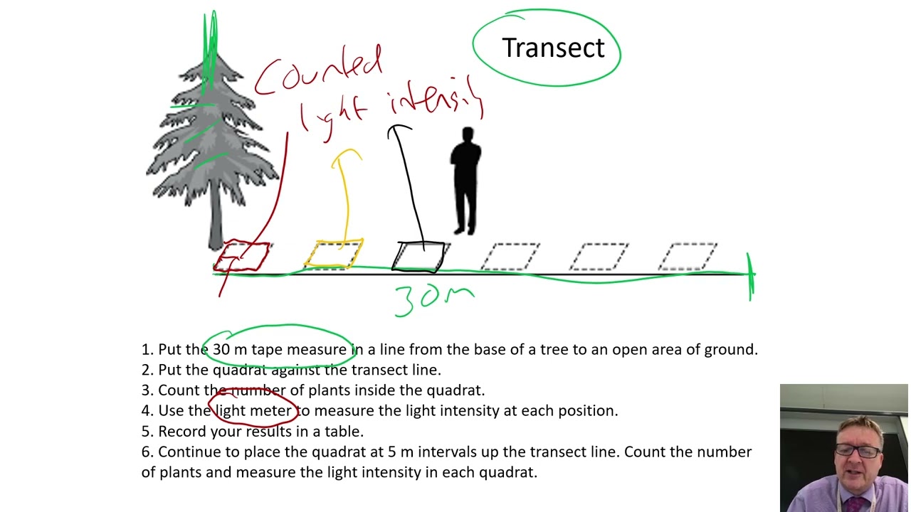 18. Полевые исследования. Практическое занятие с вопросами.