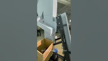 How to tell good nuts apart from bad? Nut Sorting Machine in Action