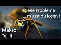 Makro für Anfänger Crashkurs Teil 2 🐜📸 Zu wenig Schärfentiefe, zu wenig Licht, zu hohe ISO ???