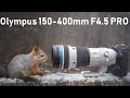 Olympus M.Zuiko 150-400mm F4.5 TC1.25x IS Pro - ФОТООХОТА !!!