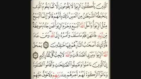 الشيخ إيهاب شرابي سورة البقرة. آيات الربا