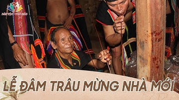 Lễ đâm trâu mừng nhà mới của đồng bào Giẻ Triêng | Dân tộc Tôn giáo