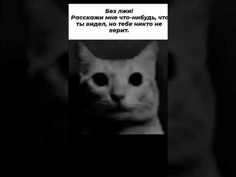 Что ты видел, но тебе никто не верит? #комментарии #юмор #мемы