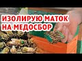 ИЗОЛЯЦИЯ МАТОК НА МЕДОСБОР!!!