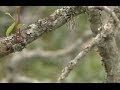 Drug farming crucial Kenyan eco**my