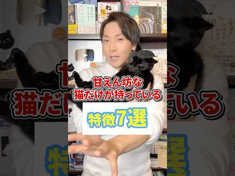 猫が甘える理由7選｜愛情表現のサインと品種別特徴を解説