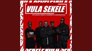 Vula Sekele (feat. Rey Oceans, Mneshmane Blr, Sneazy & Flowzbevtz)