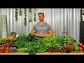 My NEW Science-Based Way To Burn Fat & Detox Your Body Fast - Green Detox