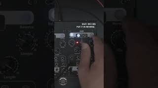 The Modular Minute 214: Looping Delay Infinite Hold