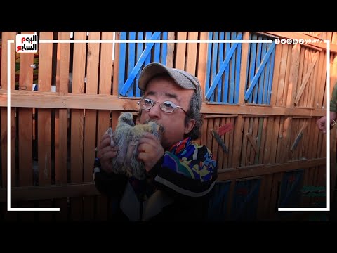 بلا جواز بلا بتاع كفاية الحمام والكلاب رد فعل الفنان محمد الصغير لما سألناه عن الجواز