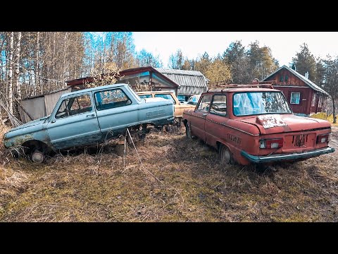 Видео: Запорожцы ГОДАМИ стояли в лесу. Оживим?