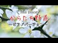 からたち野道/The Boom/ピアノソロ
