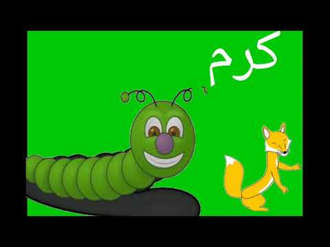 فلش کارت کلمات با صدای ر آموزش نشانه ر با تصویر و تلفظ برای کودکان نشانه ر فلش کارت فارسی کلاس اول