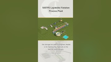 500TPD Lepidolite Flotation Process Plant