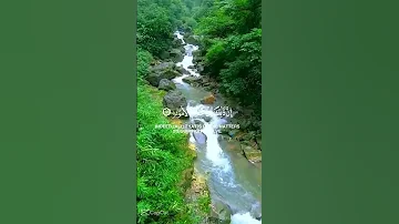 ياسر الدوسري تلاوة مريحة قرآن 