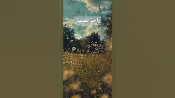 القرآن الكريم/ تلاوة خاشعة/ إطمئنان / ترتيل #quran #القرآن_الكريم #راحة_نفسية