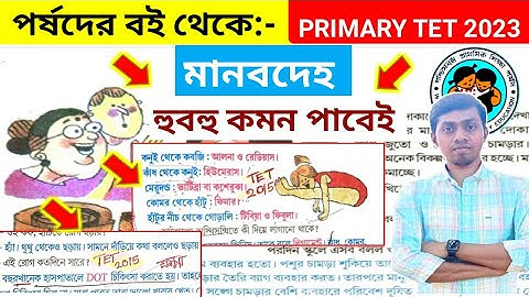 প্রাইমারি টেট  EVS Class 🔥🔥🔥হুবহু কমনযোগ্য  || মানবদেহ  || tet evs class || Primary Tet 2023