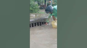 Culvert Drain Clogged by Trash Under Raindrops #real #cleaning #shorts