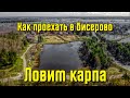 Как проехать в Бисерово. Ловим карпа на Головном пруду.