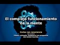 Diferencia entre el inconsciente, el ego y la consciencia - Cortos con consciencia