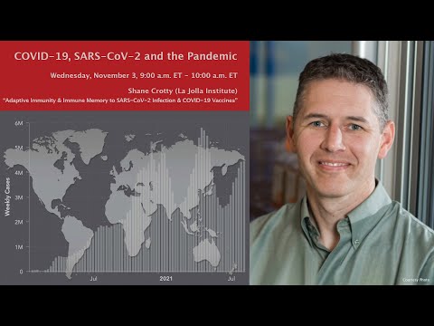 Video: Coronavirus. What immunity will we develop to SARS-CoV-2? Scientists are considering several scenarios