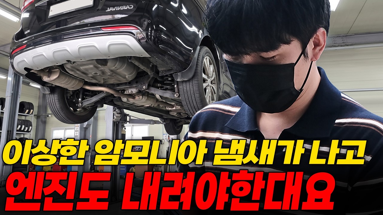 중고 카니발 샀는데 차에서 냄새나고 엔진까지 내려야 한다네요...