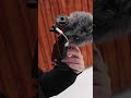 Janky Camera Setup