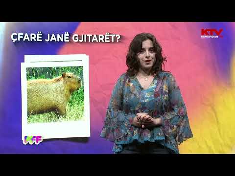 Video: Çfarë janë endemikët dhe 