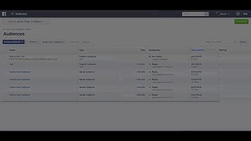 Create a Custom Audience from a Segment