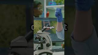 Unlocking the Future of Farming: Agri-Biotech & Genetic Engineering