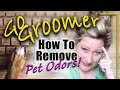 How to remove Pet Odors! Smelly Dog Ears., skin and breath.
